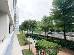 Blk 247 Kim Keat Link (Toa Payoh), HDB 4 Rooms #522867531